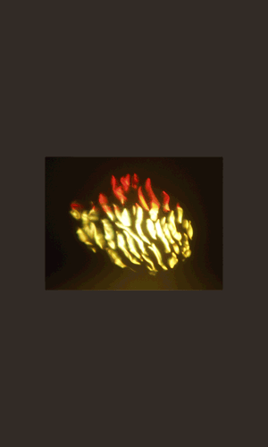 Efecto luminoso Fire Light - 250W
