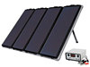 Placa Solar Amorfa de 60W + Regulador